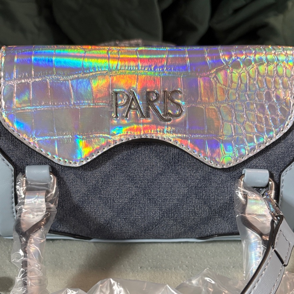 Paris Hilton bag